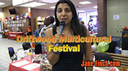 2014 Driftwood Multicultural Festival