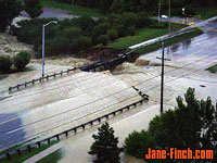 Finch Avenue flood, image 9